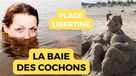 exhibition plage|Baie des cochons: bienvenue sur la plage libertine du Cap.